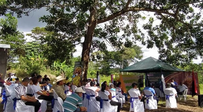 arboreto-municipal-muelle-de-los-bueyes
